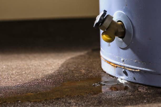 Best Flood restoration services  in Palm Valley, TX