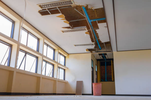 Best Basement water damage restoration  in Palm Valley, TX