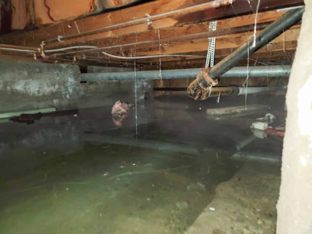 Best Water damage restoration cost  in Palm Valley, TX