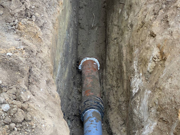 Best 24/7 water damage repair  in Palm Valley, TX