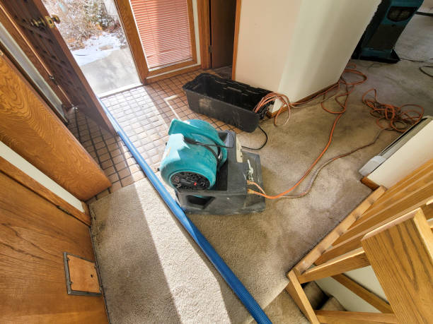 Best Ceiling water damage repair  in Palm Valley, TX