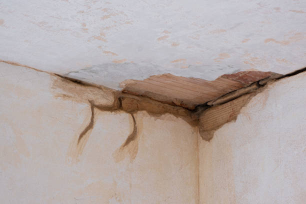 Best Flood damage cleanup  in Palm Valley, TX