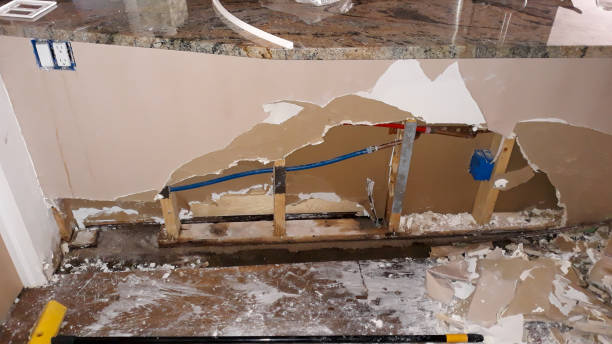 Best Commercial water damage restoration  in Palm Valley, TX