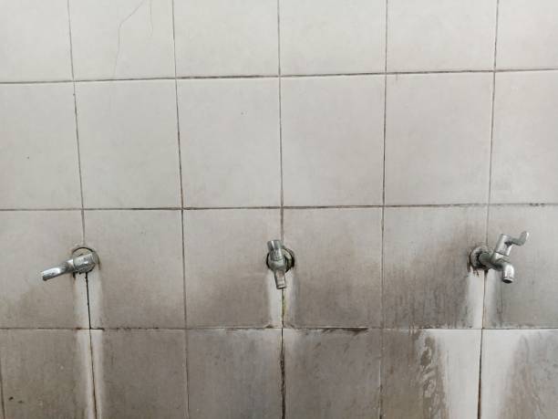 Best Flooded house restoration  in Palm Valley, TX