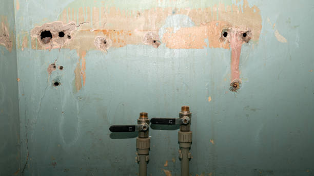 Best Local water damage restoration  in Palm Valley, TX